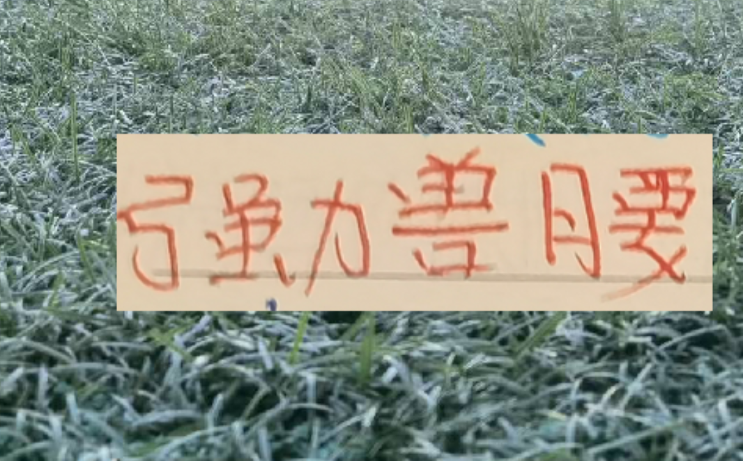 世界杯比赛直播地址-中超前4的后腰 反而申花是国产的兽腰 其他球队都是洋货